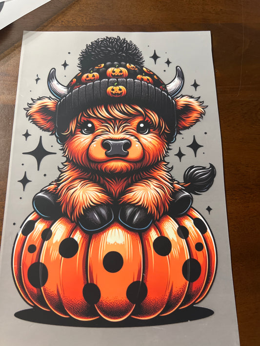 Highland pumpkin